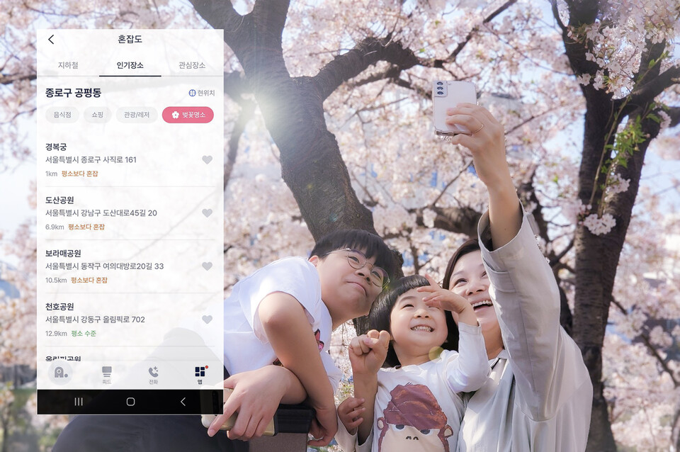 SK텔레콤이 25일부터 AI 개인비서 ‘에이닷’에 벚꽃 명소 혼잡도 정보를 추가해 공개한다. (사진제공=SK텔레콤)