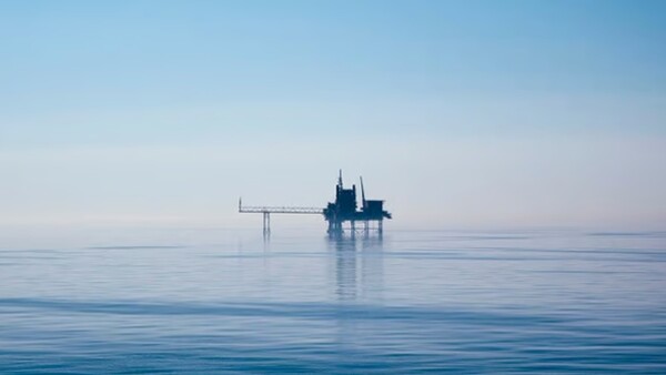 (사진=Norges Bank Investment Management 홈페이지)