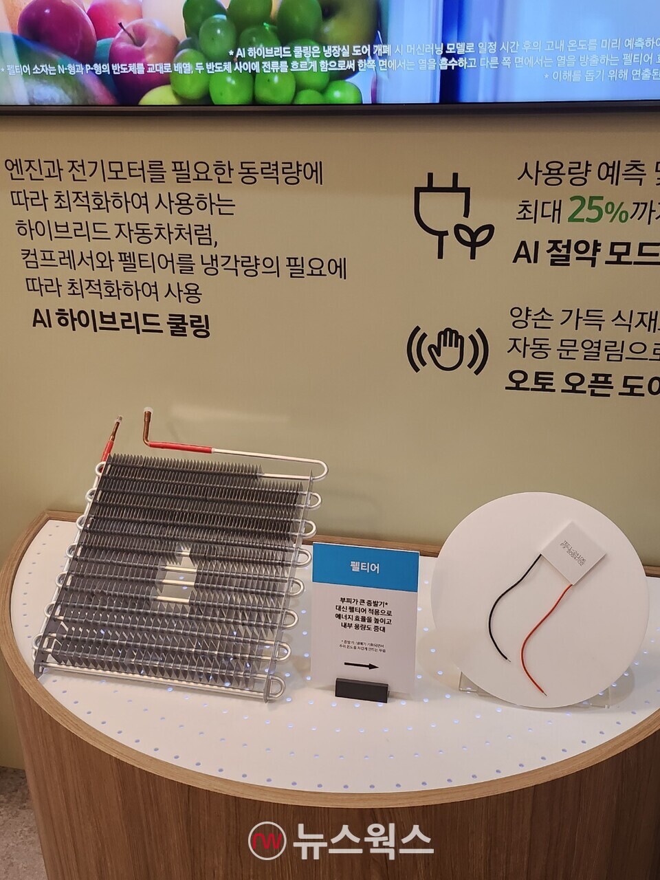 '비스포크 AI 하이브리드' 냉장고에 탑재된 '팰티어' 반도체 소자. (사진=채윤정 기자)