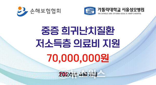 (사진제공=손해보험협회)