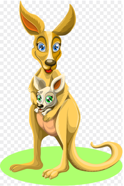 캥거루 이미지. (출처=픽사베이)