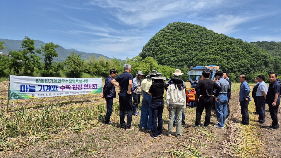 영천시 관계자들이 마늘 줄기절단기 및 수확기 등 마늘 기계화 수확 연시회를 하고 있다.(사진제공=영천시)