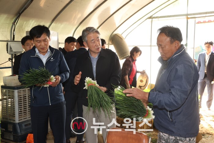 강호동 농협중앙회장이 28일 충남 아산시 방울토마토·쪽파 농가를 찾아 생육동향을 점검하고 있다.(사진제공=농협중앙회)