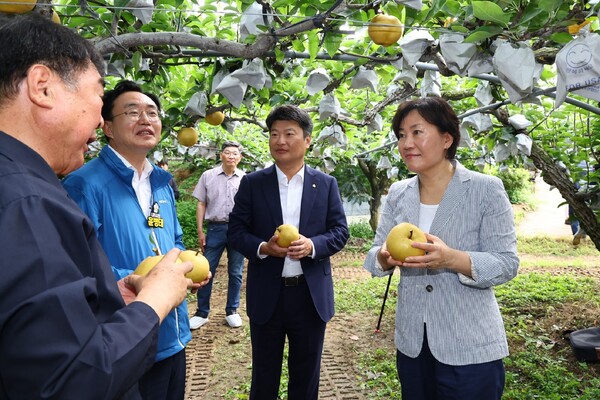 송미령(오른쪽) 농림축산식품부 장관이 지난 7월 31일 전라남도 나주시에 위치한 과수원을 찾아 배 작황 상황을 점검하고 있다. (사진제공=농림축산식품부)