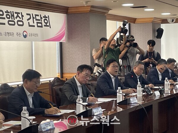 김병환 금융위원장이 20일 서울 중구 은행연합회에서 열린 '은행장 간담회'에서 모두 발언을 하(사진=김다혜 기자)