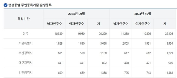 (자료제공=행정안전부)