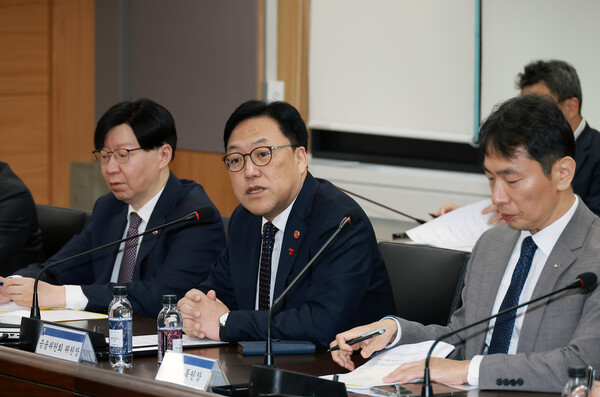 김병환 금융위원장이 4일 오전 서울 종로구 정부서울청사에서 금융협회장들과 간밤의 비상계엄 선포 및 해제 관련 금융상황 점검회의를 하고 있다. (사진=뉴스1)