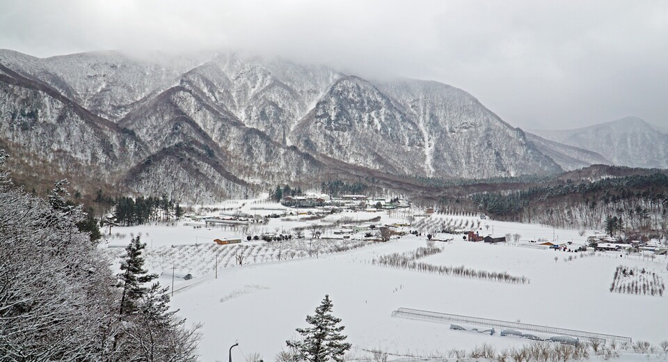 눈에 덮힌 울릉도 나리분지. (사진제공=경북문화관광공사)