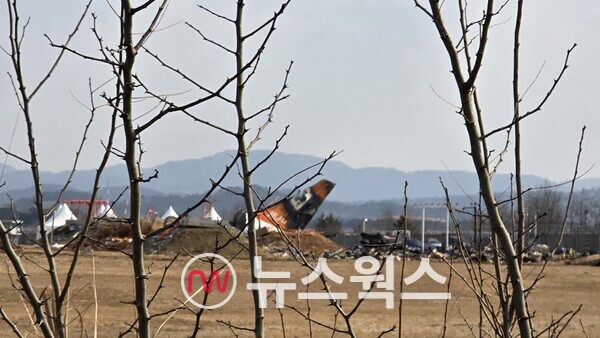 나뭇가지 뒤로 제주항공 기체 뒷 부분이 흐릿하게 보인다. (사진=양동준 기자)