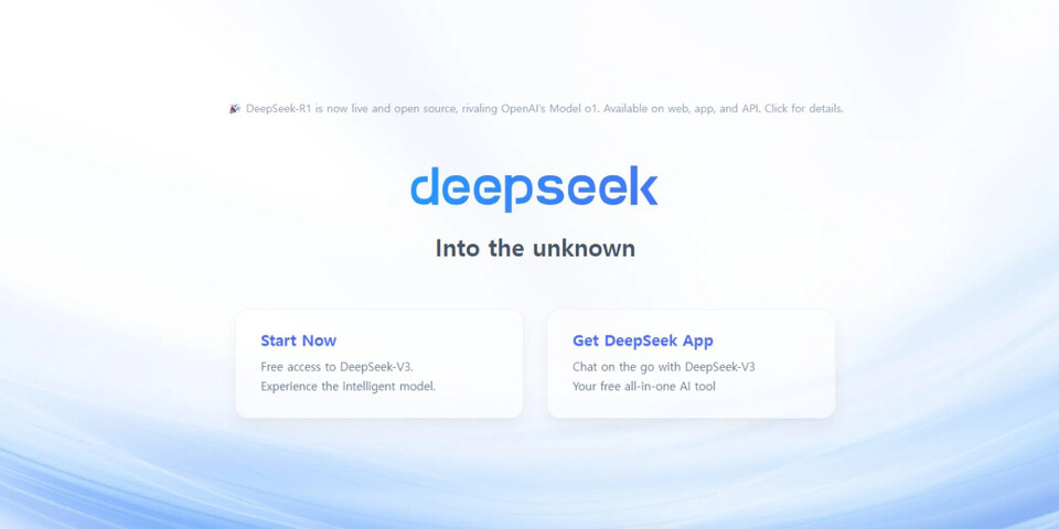 딥시크 웹사이트. (출처=딥시크 사이트)