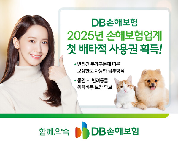 (사진제공=DB손해보험)