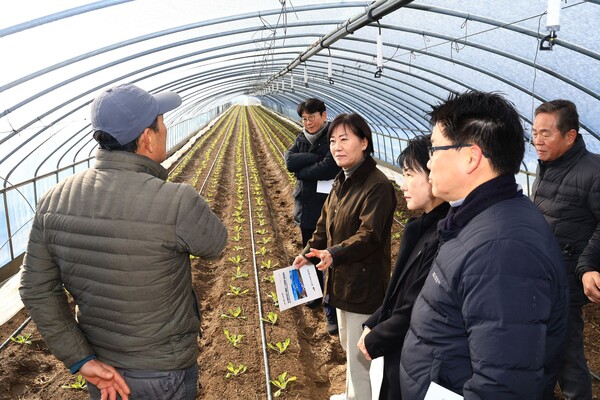 송미령 농림축산식품부 장관이 6일 충남 예산군 신암면에 위치한 시설봄배추 재배현장을 찾아 생육상황을 점검하고 있다. (사진제공=농림축산식품부)