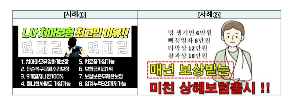 (출처=금융감독원)