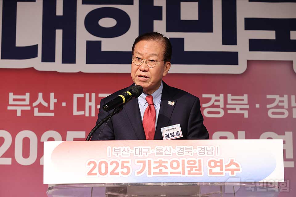 권영세 국민의힘 비상대책위원장이 지난 5일 경북 경주시 더케이호텔에서 열린 '부산·대구·울산·경북·경남 기초의원 연수'에서 발언하고 있다. (사진제공=국민의힘)