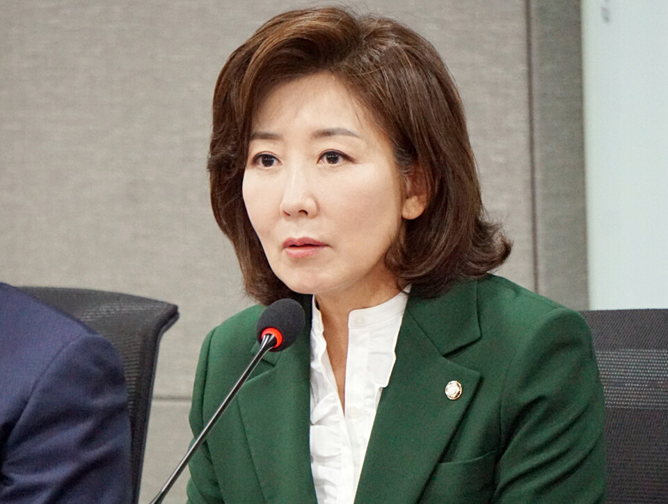나경원 국회의원. (출처=나경원 의원 페이스북 계정)