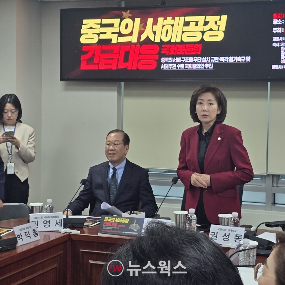 25일 국회에서 열린 '중국의 서해공정 긴급대응 국회토론회'에 권영세(가운데) 국민의힘 비상대책위원장이 착석한 뒤, 나경원(오른쪽) 의원이 내외빈들을 바라보고 있다. (사진=원성훈 기자)