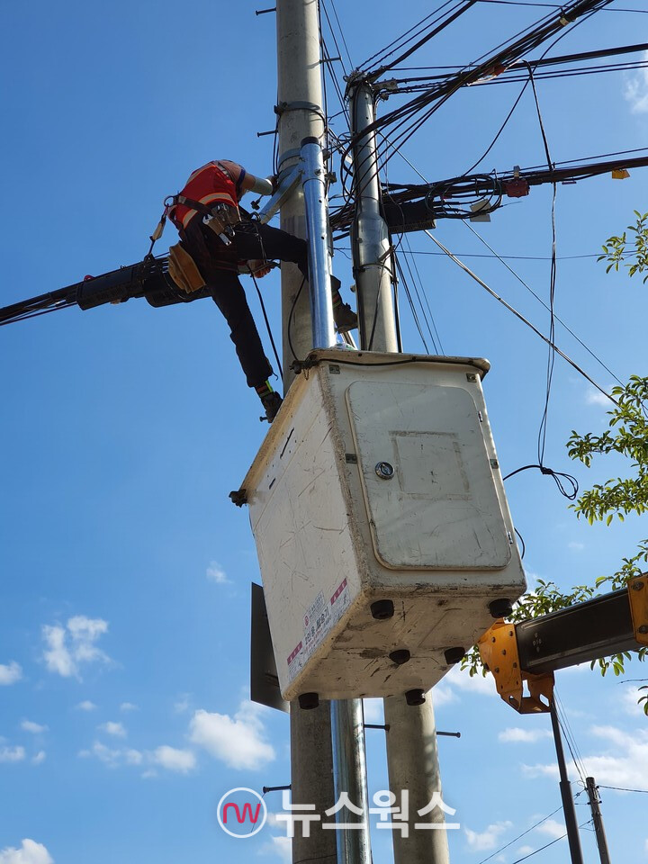 기술자들이 공중케이블을 정비하고 있다. (사진=박광하 기자)