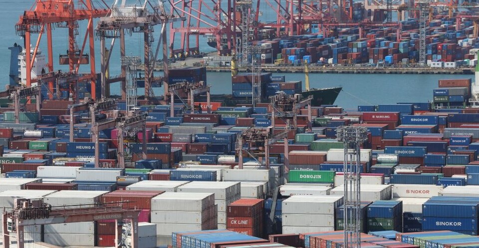 부산항 신선대부두와 감만부두 수출 야적장. (사진=뉴스1)