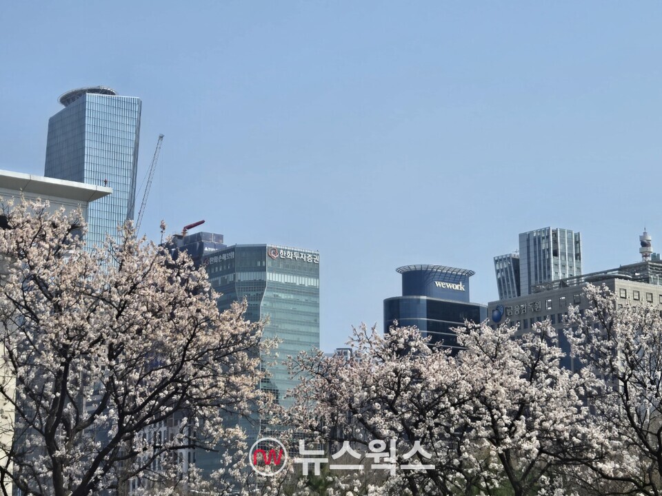 여의도 증권가와 벚꽃. (사진=박성민 기자)