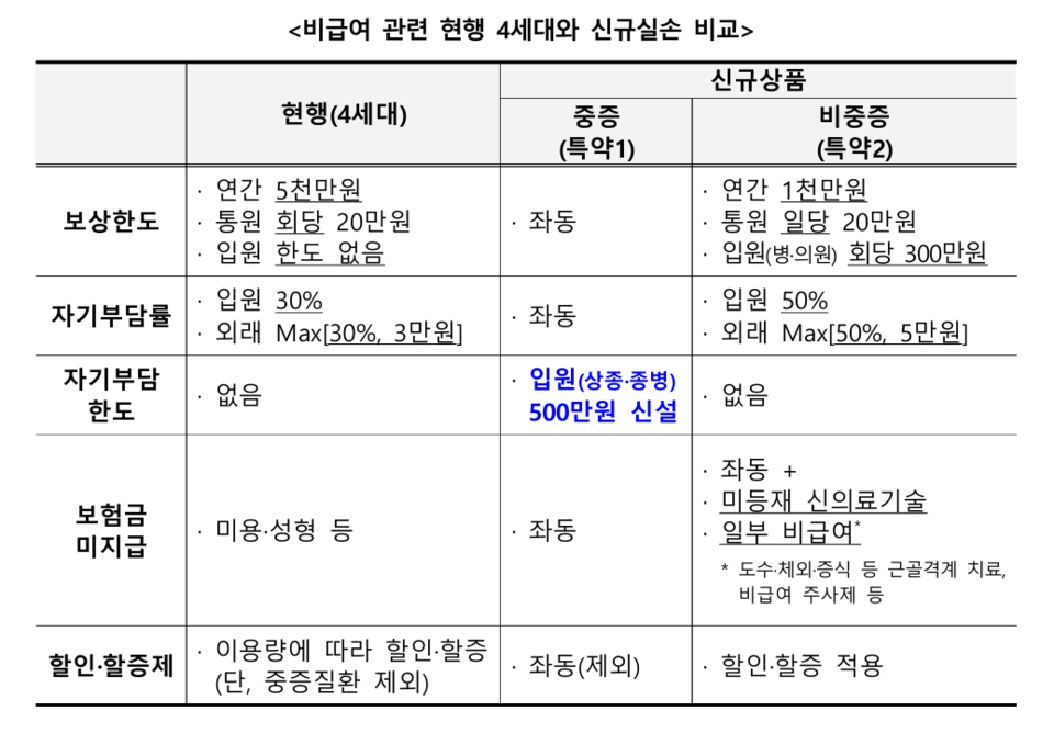 (출처=금융감독원)