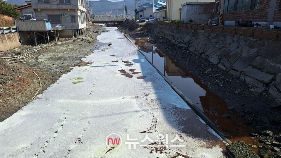 김 가공 공장에서 방류된 폐수로 인해 전남 고흥군 풍남면에 소재한 하천이 오염되고 있다. 해당 하천은 바다로 이어진다. (사진제공=행·의정 감시네트워크 중앙회)