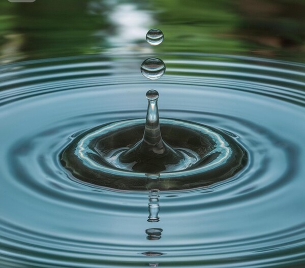 (출처=픽사베이)