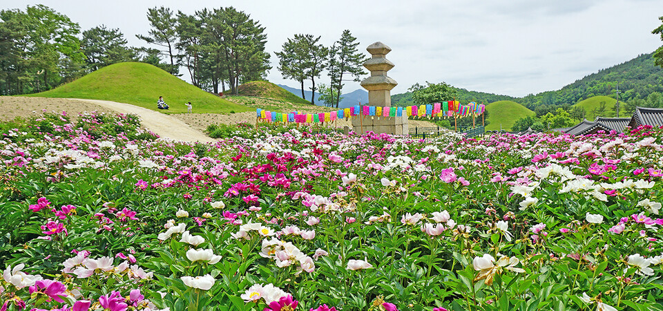 서악동 삼층석탑 작약. (사진제공=경주시)
