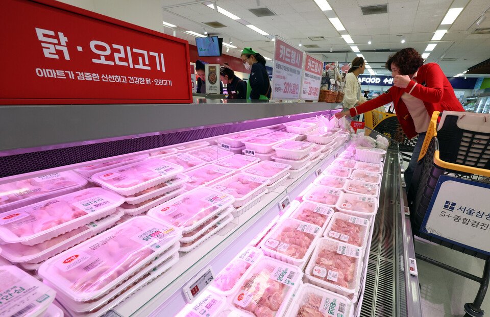 23일 정부가 브라질 조류인플루엔자(AI) 발생으로 닭고기 수입이 중단되며 국내 공급 부족 상황에 대처하기 위해 미발생 지역산 닭고기 수입을 허용하는 절차를 추진하기로 했다. (사진=뉴스1)