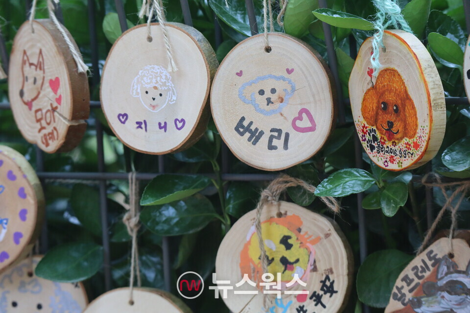 KB손해보험이 조성한 '반려행복정원' 한켠에는 견주들이 직접 그린 강아지들의 그림이 걸려있었다. (사진=박성민 기자)