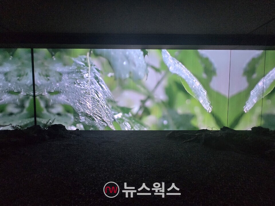 두나무의 치유정원에서 경험한 '미디어 파사드(Media Facade)'. (사진=박성민 기자)