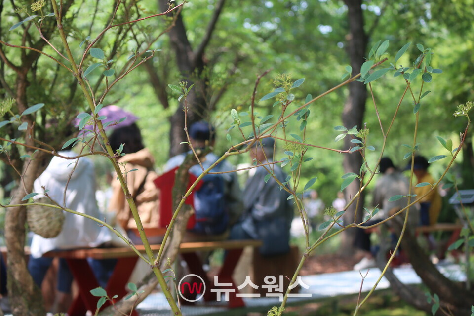 AIA생명이 조성한 '다시 생각하는 건강 정원'에서 노년·장년층 어르신들이 휴식을 취하고 있다. (사진=박성민 기자)