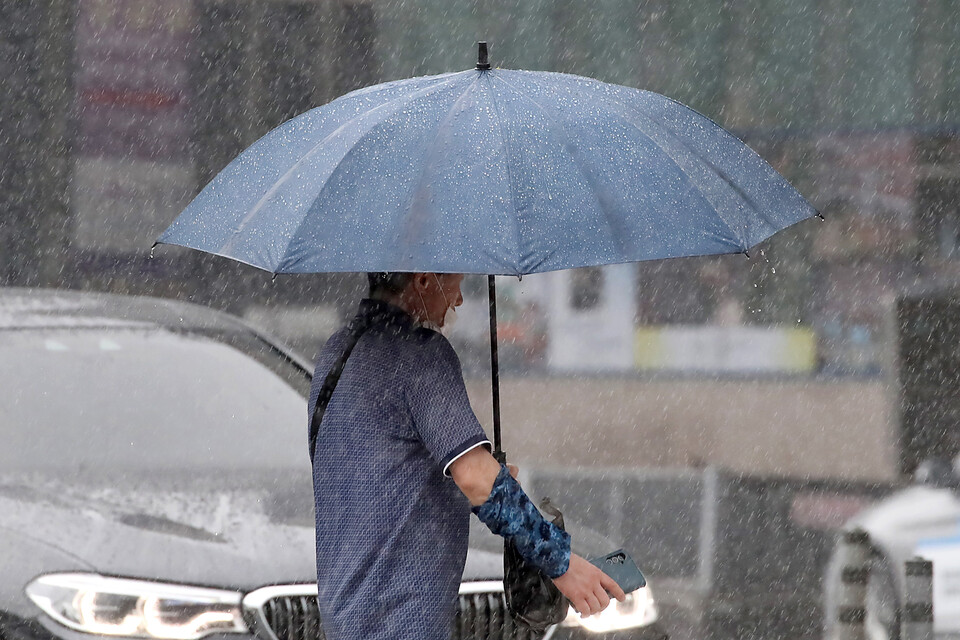 16일 오전 대구 수성구 달구벌대로에 많은 비가 쏟아지자 횡단보도를 건너는 시민들이 우산을 펼쳐 비를 피하고 있다. (사진=뉴스1)