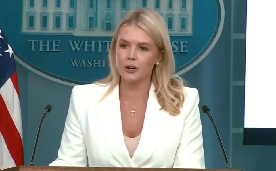 캐롤라인 레빗 백악관 대변인이 상호관세 브리핑을 하고 있다. (출처=캐롤라인 레빗 엑스)