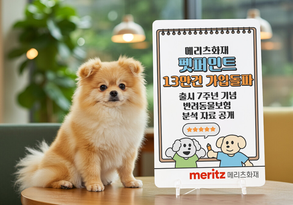 (사진제공=메리츠화재)