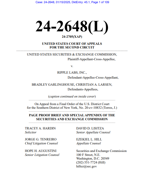 미국 뉴욕 남부지방법원에서 발표한 문서 표지. (출처=스튜어트 알데로티 엑스)