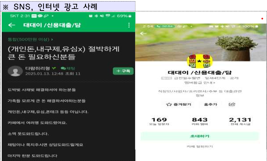 (출처=금융감독원)