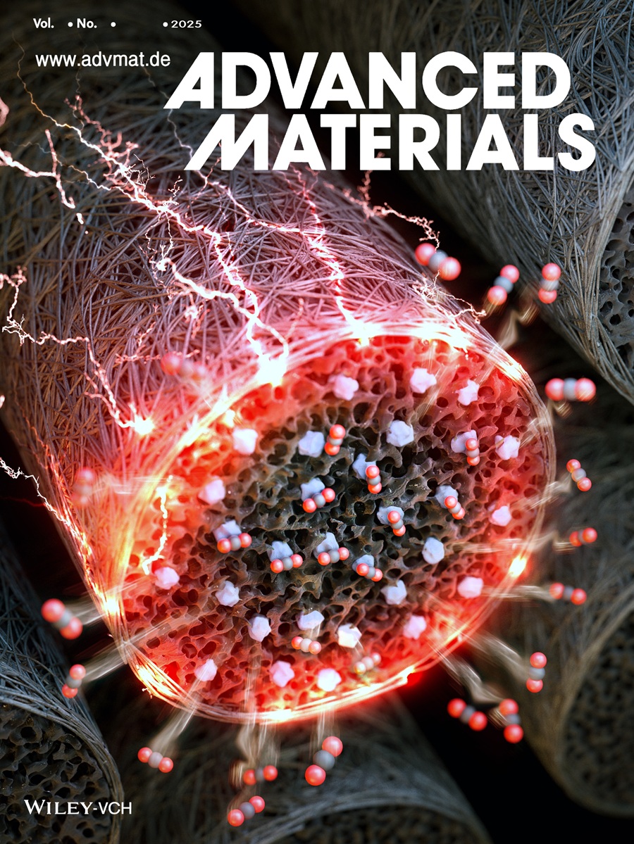 어드밴스드 머티리얼스 내부 표지로 실린 연구 실적 (사진제공=KAIST)