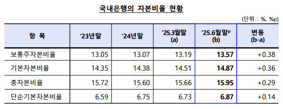 올해 2분기 기준 국내은행 자본비율 현황. (자료제공=금융감독원)