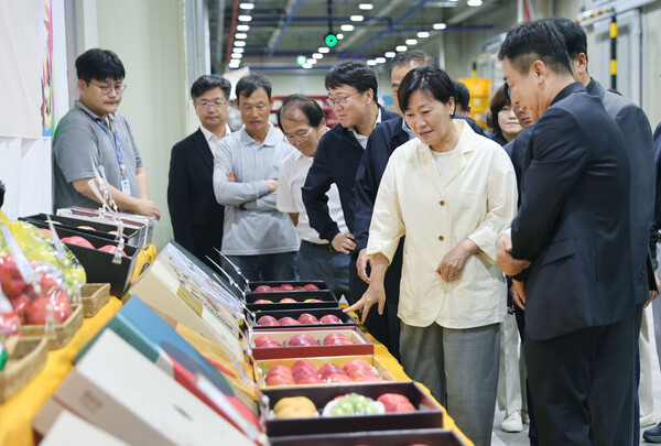 송미령 농림축산식품부 장관이 지난 22일 충북 보은군 삼승면 소재 충북원예농협 과수 거점 산지유통센터(APC)를 찾아 추석 성수기용 사과 선별·출하 현장을 점검하고 있다. (사진제공=농림축산식품부)
