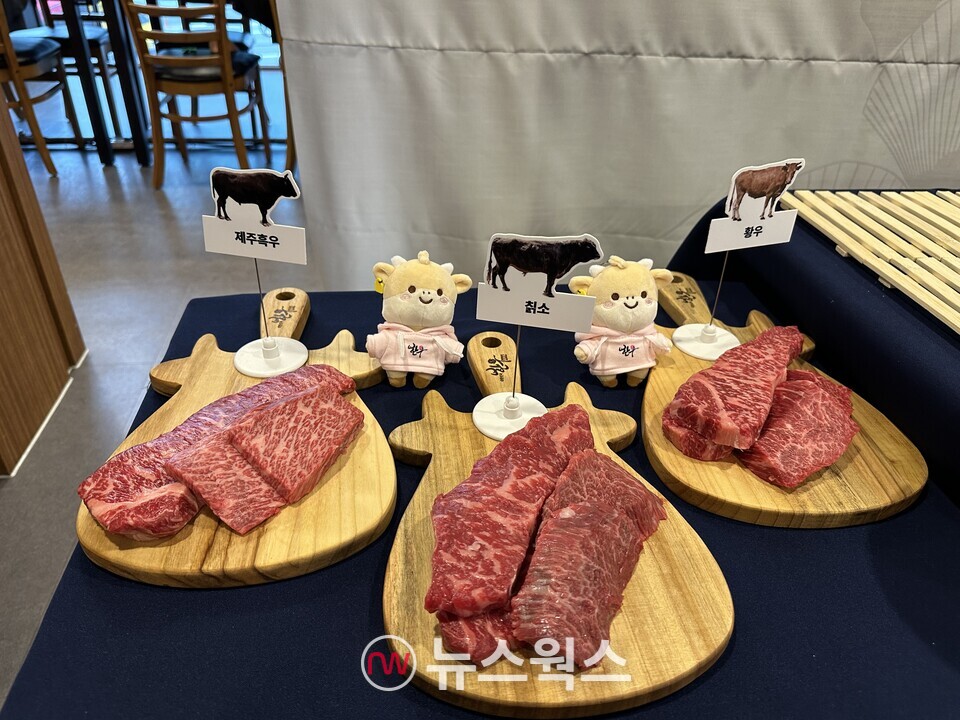 '한우 잇(EAT)다: 토종 한우로 색다른 맛을 잇다' 미디어 시식회에 채끝과 치마살 등 부위별로 제주흑우·칡소·황우가 놓여있다. (사진=정현준 기자)