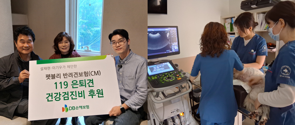 설채현(왼쪽 사진 오른쪽 첫번째) 수의사와 DB손보 관계자들이 지난 9일 서울시 강남구 설채현 수의사 동물병원에서 119 은퇴견 다솔이에 대한 건강검진을 진행하고 기념 촬영을 하고 있다. (사진제공=DB손보)