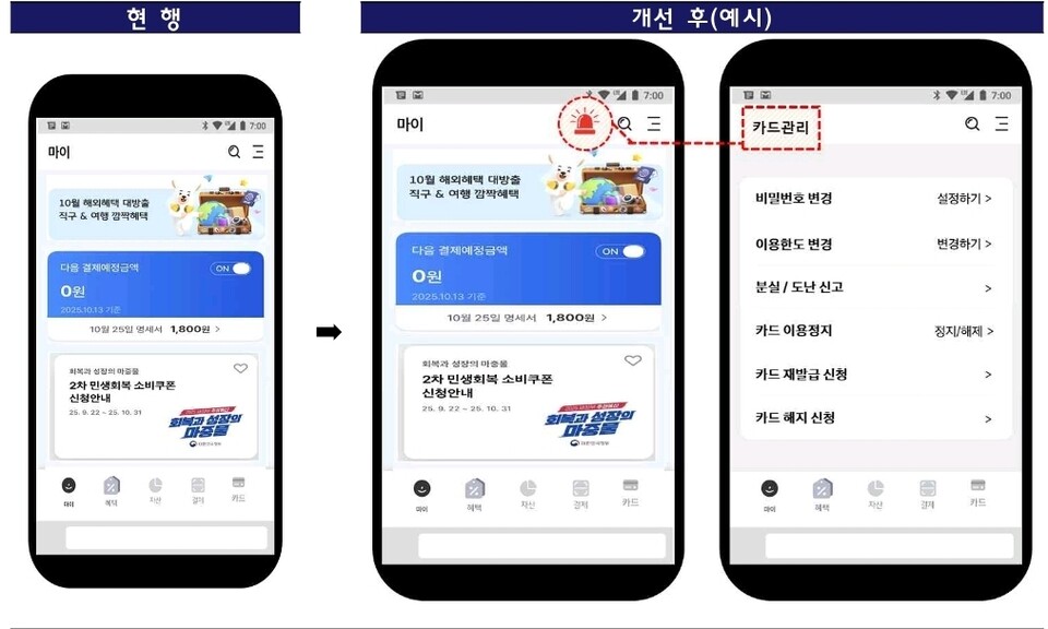 (출처=금융감독원)