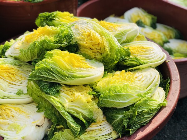 (사진제공=한국물가정보)