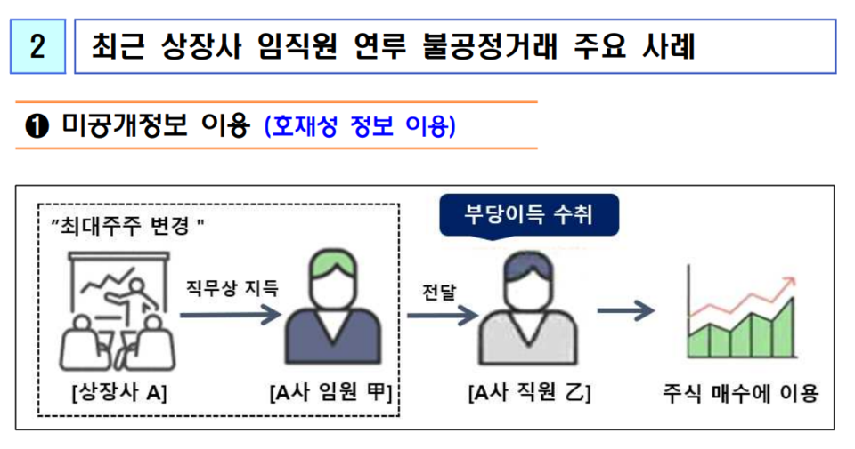 (자료제공=금융감독원)