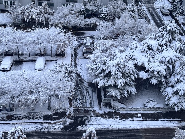 2024년 11월 27일 경기 고양시 한 아파트 단지에 내린 눈이 쌓여있다. (사진=허운연 기자)