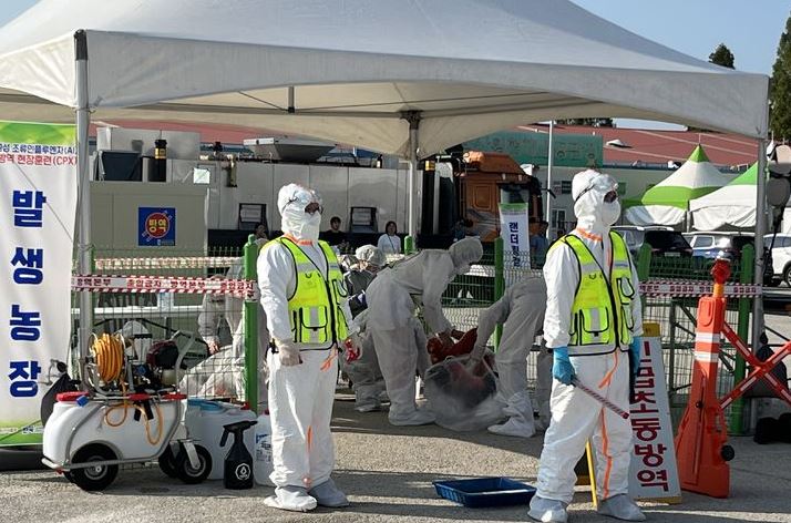 국내 고병원성 AI 재난대응 방역훈련. (사진제공=농식품부)