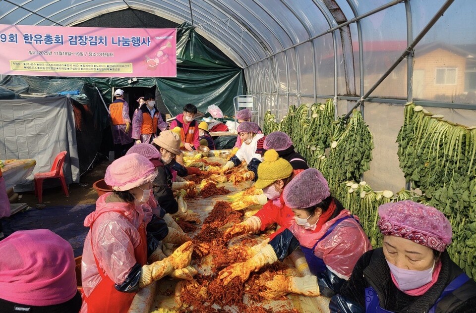 (사진제공=베르티스)