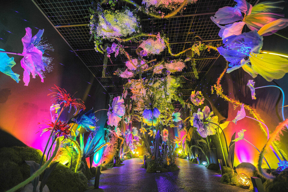 코스믹리조트 내 미디어 아트. (사진제공=경북문화관광공사)