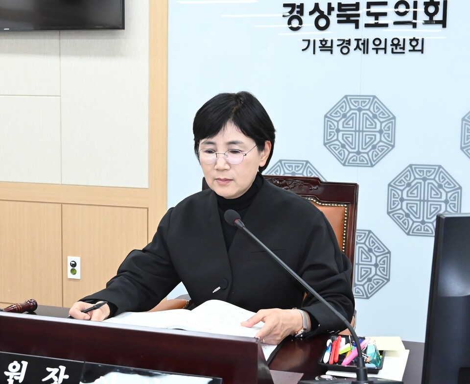 이선희 경북도의회 기획경제위원장. (사진제공=경북도의회)