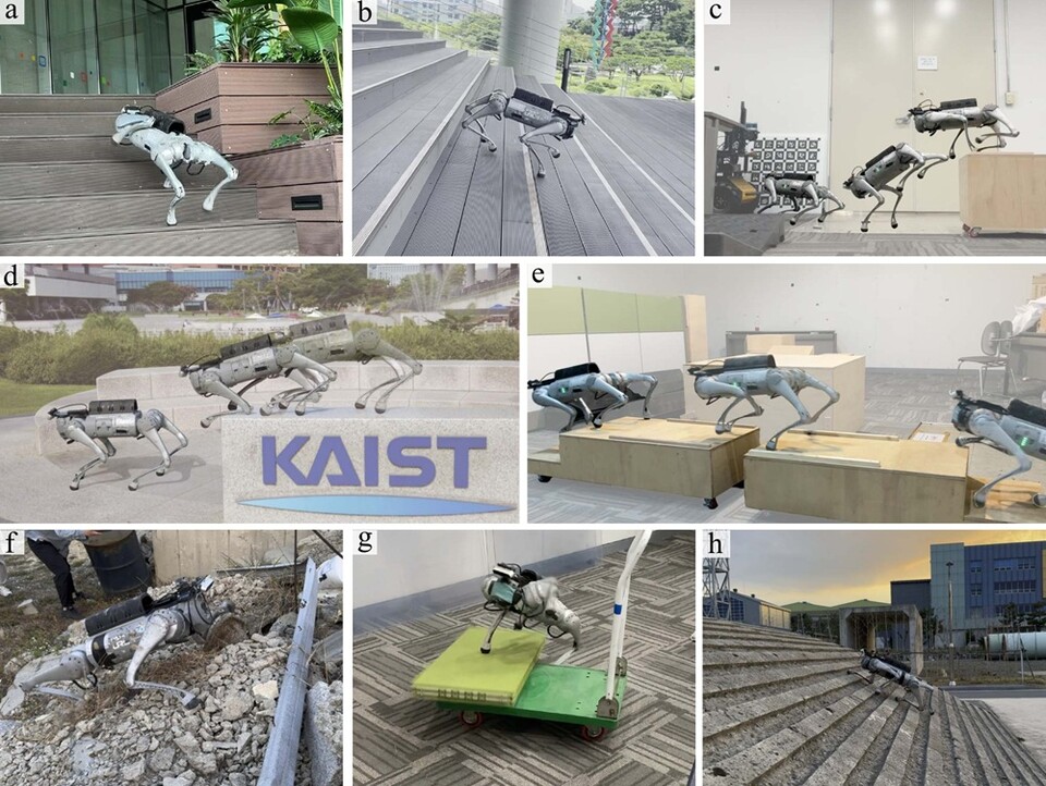 (사진제공=KAIST)